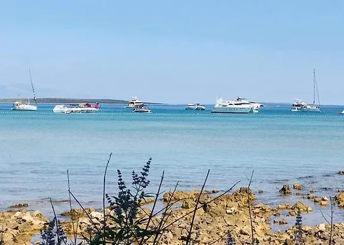 Rose House Ferienhaus *